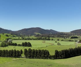 Rural / Farming commercial property for sale at 569 St Columba Falls Road Pyengana TAS 7216