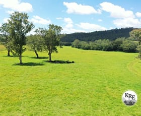 Rural / Farming commercial property for sale at 1100 Iron Pot Creek & Ghinni Ghi Roads Kyogle NSW 2474