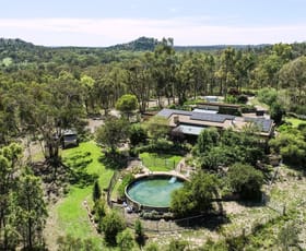 Rural / Farming commercial property for sale at 295 Timor Road Coonabarabran NSW 2357