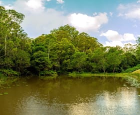 Rural / Farming commercial property for sale at 35 Rose Gum Lane Witta QLD 4552