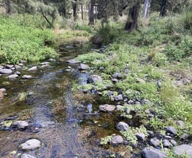 Rural / Farming commercial property for sale at 23, 23 Pembroke Road Cassilis NSW 2329