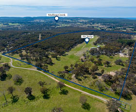 Rural / Farming commercial property for sale at 74 Kent Road Orange NSW 2800