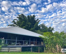 Rural / Farming commercial property for sale at 611 Brooks Road Mungalli QLD 4886