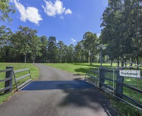 Rural / Farming commercial property for sale at 3277 Beechmont Rd Witheren QLD 4275