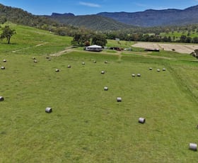 Rural / Farming commercial property for sale at 305 Mulgowie Rd Townson QLD 4341