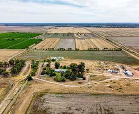 Rural / Farming commercial property for sale at 295 Talakborong Lane Noorong NSW 2732
