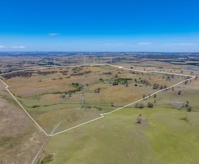 Rural / Farming commercial property for sale at 103 Elmgrove Road Pejar NSW 2583