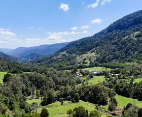 Rural / Farming commercial property for sale at 3552 Nerang Murwillumbah Road Natural Bridge QLD 4211