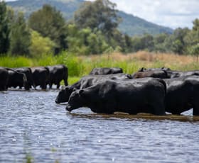 Rural / Farming commercial property sold at 2021 Mole River Road Mole River NSW 2372