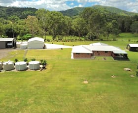 Rural / Farming commercial property for sale at 28 Horton Road Chatsworth QLD 4570