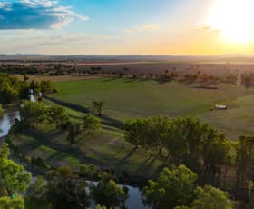 Rural / Farming commercial property for sale at 11664 Kamilaroi Highway Emerald Hill NSW 2380