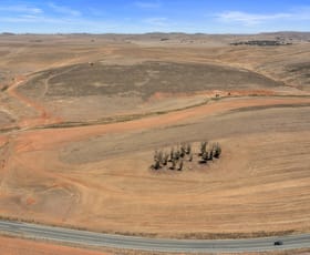 Rural / Farming commercial property for sale at 2489 R M Williams Way Spalding SA 5454