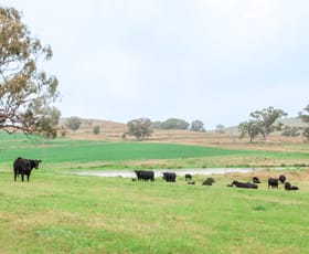 Rural / Farming commercial property for sale at 'Everleigh' Waverley Rd, via Scone NSW 2337