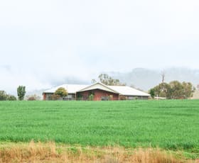 Rural / Farming commercial property for sale at 'Everleigh' Waverley Rd, via Scone NSW 2337