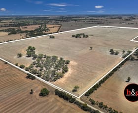 Rural / Farming commercial property for sale at 46 Pomfrets Road Nathalia VIC 3638