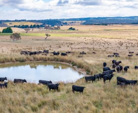 Rural / Farming commercial property for sale at Glenerin Road Crookwell NSW 2583