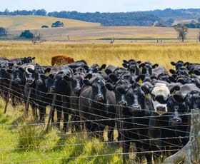 Rural / Farming commercial property for sale at Glenerin Road Crookwell NSW 2583