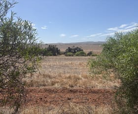 Rural / Farming commercial property for sale at 199 Hatch Road Bowes WA 6535