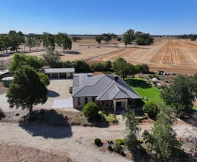 Rural / Farming commercial property for sale at 2396 Webb Road Nanneella VIC 3561