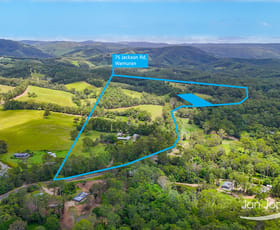 Rural / Farming commercial property for sale at 75-235 Jackson Road Wamuran QLD 4512