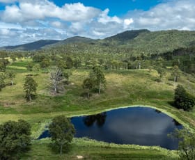 Rural / Farming commercial property for sale at Lot 2 Upper Allan Creek Road Bromelton QLD 4285