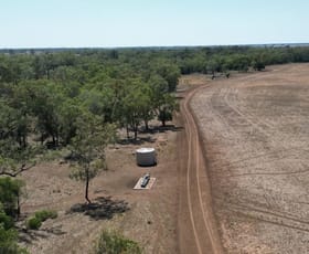 Rural / Farming commercial property for sale at Gingham Road Moree NSW 2400