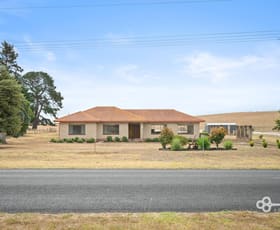 Rural / Farming commercial property for sale at 60 Berkefeld Road Ob Flat SA 5291
