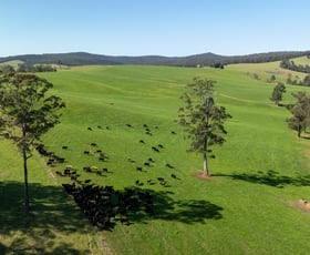 Rural / Farming commercial property for sale at 1292 Kangaroo Flat Road Yarrowitch NSW 2354