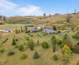 Rural / Farming commercial property for sale at 6121 Castlereagh Highway Running Stream NSW 2850