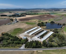 Rural / Farming commercial property for sale at 580 Chapel Road Sassafras TAS 7307