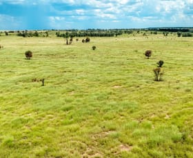 Rural / Farming commercial property for sale at 10077 Hoganthulla Road Mungallala QLD 4467