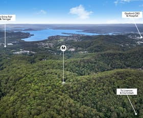 Rural / Farming commercial property sold at 2 Toomeys Road Mount Elliot NSW 2250