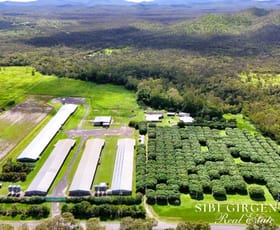 Rural / Farming commercial property for sale at 1004 Bilwon Road Biboohra QLD 4880