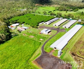 Rural / Farming commercial property for sale at 1004 Bilwon Road Biboohra QLD 4880