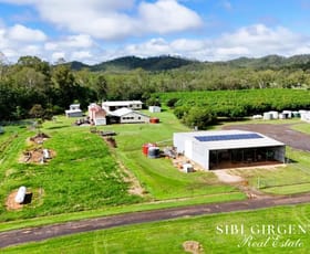 Rural / Farming commercial property for sale at 1004 Bilwon Road Biboohra QLD 4880