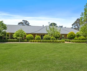 Rural / Farming commercial property for sale at 1146 Pipers Flat Road Portland NSW 2847