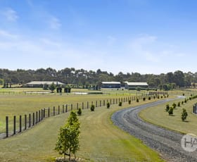 Rural / Farming commercial property for sale at 270 Coolart Road Moorooduc VIC 3933
