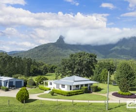 Rural / Farming commercial property for sale at 215 South Pumpenbil Road Pumpenbil NSW 2484