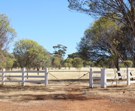 Rural / Farming commercial property for sale at Lot 135 & 136 Nippering North Road Dumbleyung WA 6350