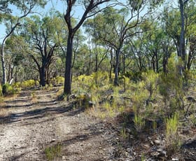 Rural / Farming commercial property for sale at Lot 4 McNutts Lane Heathcote VIC 3523