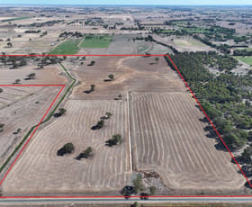 Rural / Farming commercial property for sale at Lot 1 Whinfield Road Bamawm VIC 3561