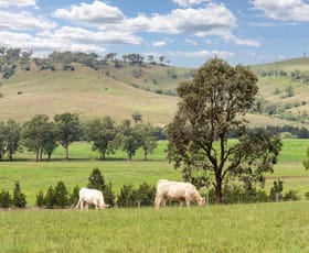Rural / Farming commercial property sold at 2487 Jerrys Plains Road Singleton NSW 2330