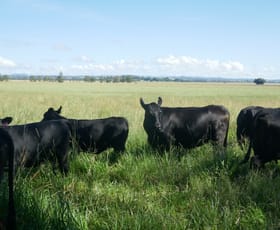 Rural / Farming commercial property for sale at 150 Fairy Hill Station Rd Casino NSW 2470