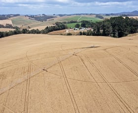 Rural / Farming commercial property for sale at 86 Rothwells Road Sisters Creek TAS 7325