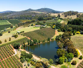 Rural / Farming commercial property for sale at 293 Nancarrow Lane Nashdale NSW 2800