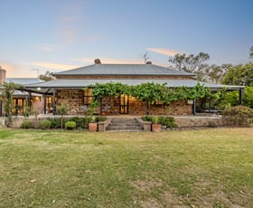 Rural / Farming commercial property for sale at 55A Stirling Hill Road Gemmells SA 5255