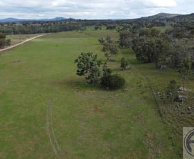 Rural / Farming commercial property for sale at Kingstown NSW 2358