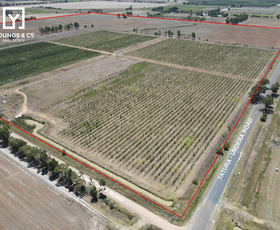 Rural / Farming commercial property for sale at 508 Fenaughty Road Tatura VIC 3616