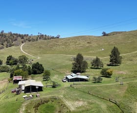 Rural / Farming commercial property for sale at Ganbenang NSW 2790