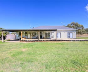 Rural / Farming commercial property for sale at 328 Clowes Road Currabubula NSW 2342